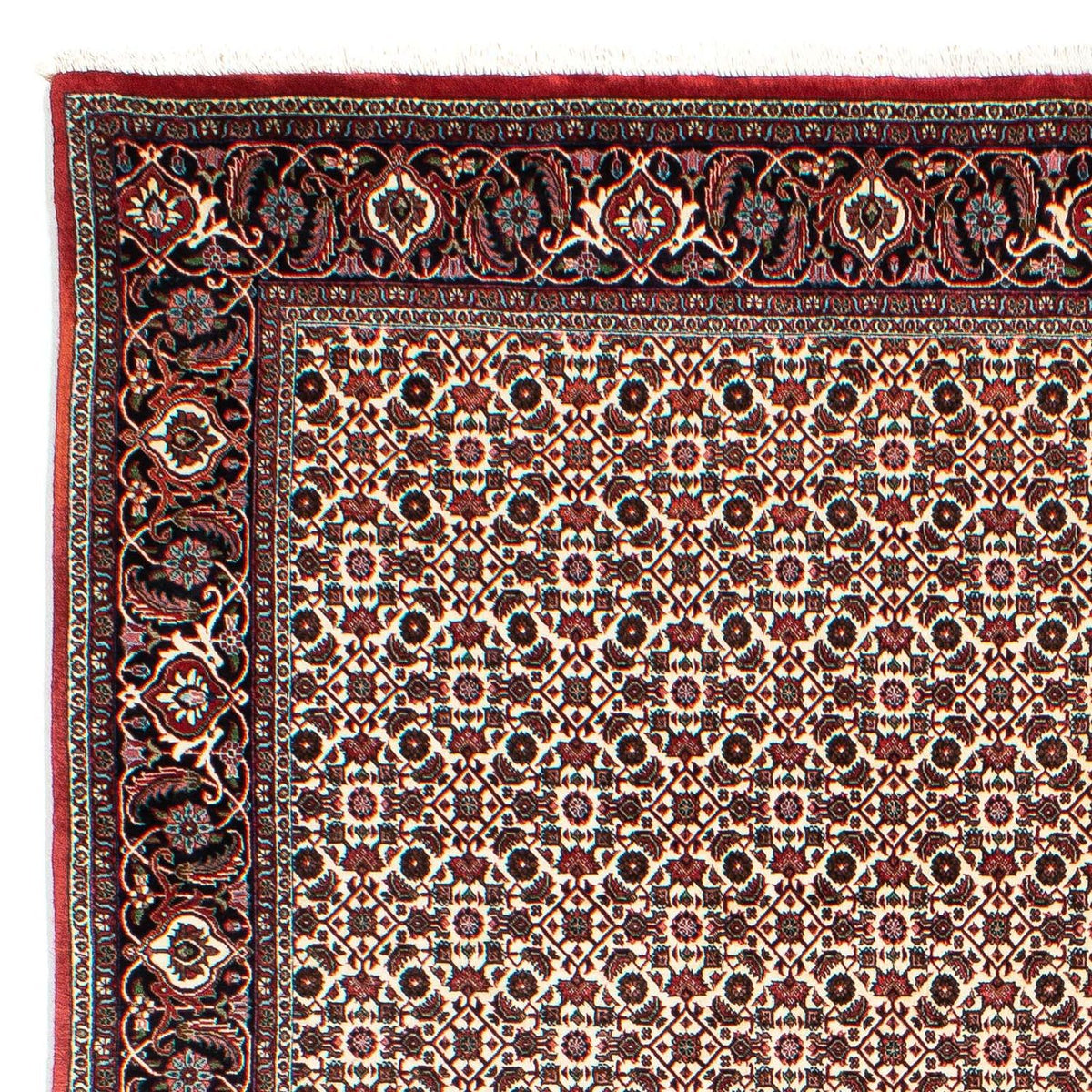 Tapis persan - Bidjar - 294 x 200 cm - beige