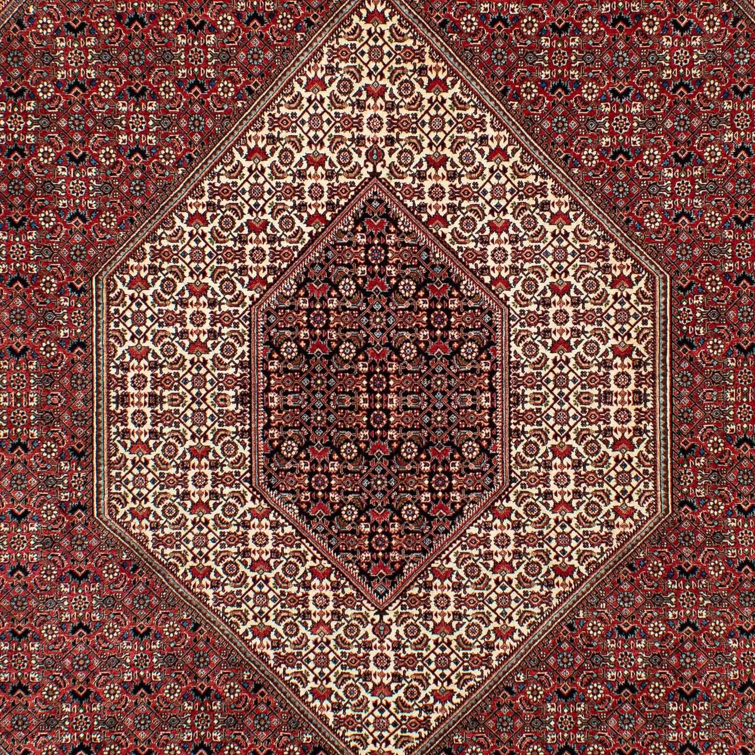 Tapis persan - Bidjar - 305 x 203 cm - rouge foncé