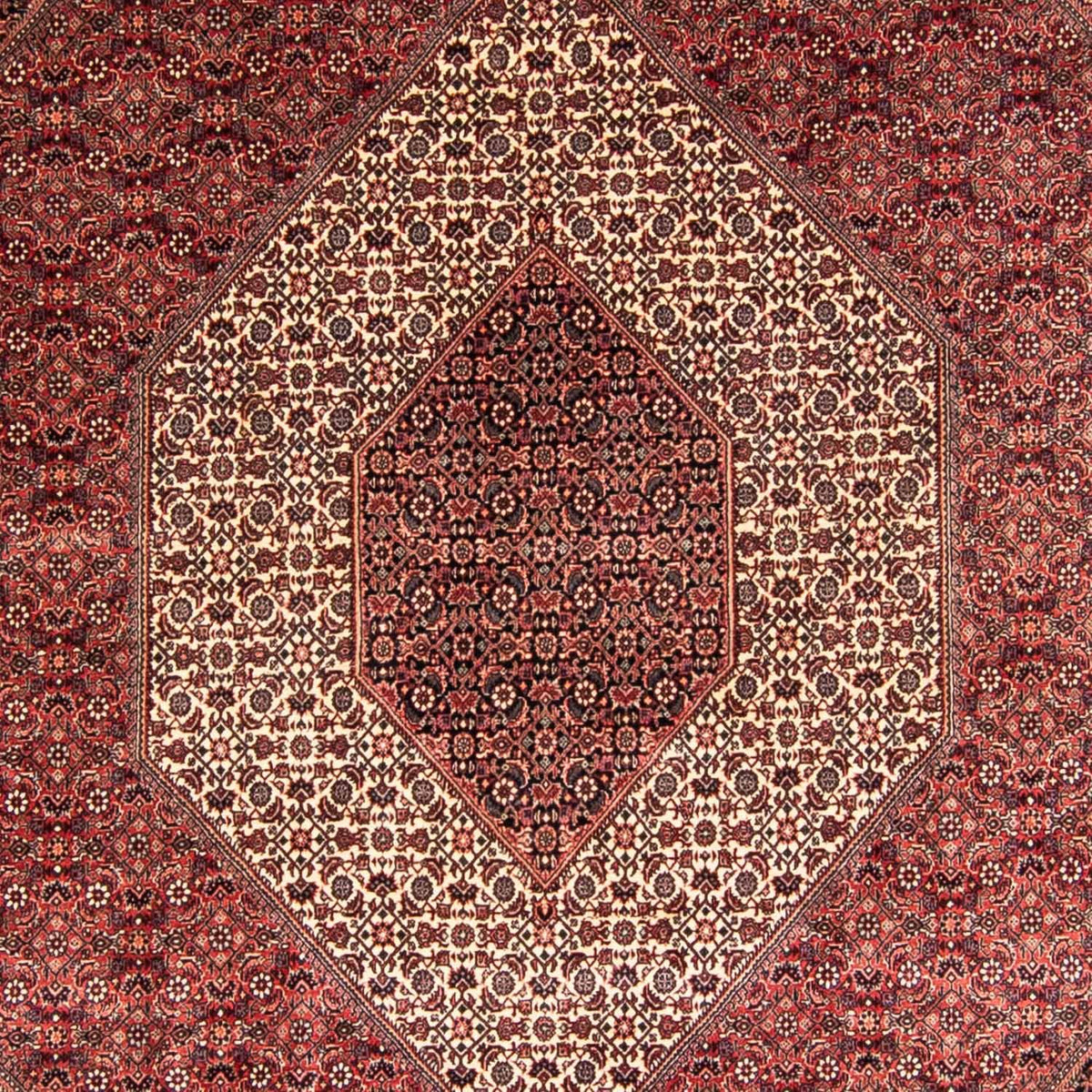 Tapis persan - Bidjar - 340 x 252 cm - rouge clair