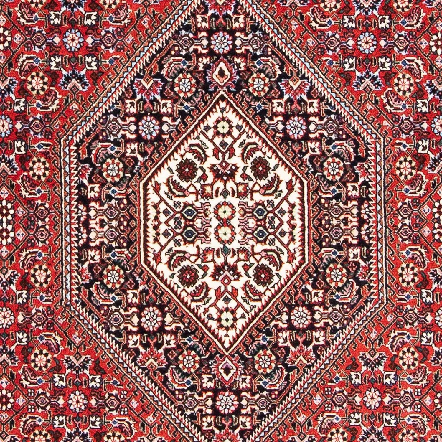 Tapis persan - Bidjar - 173 x 111 cm - rouge clair