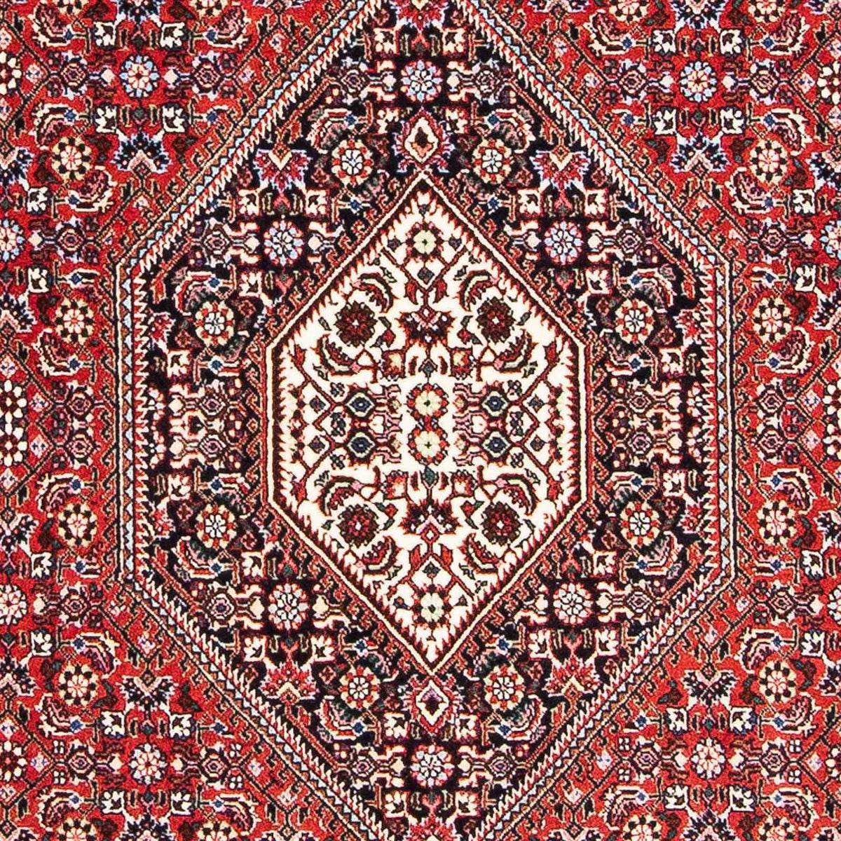 Tapis persan - Bidjar - 173 x 111 cm - rouge clair