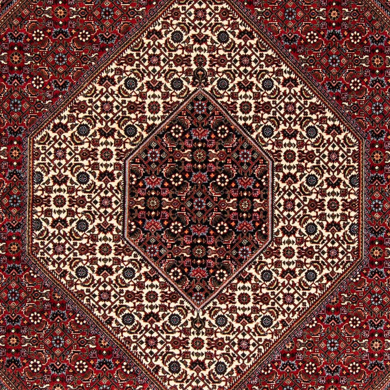 Tapis persan - Bidjar - 245 x 172 cm - rouge foncé