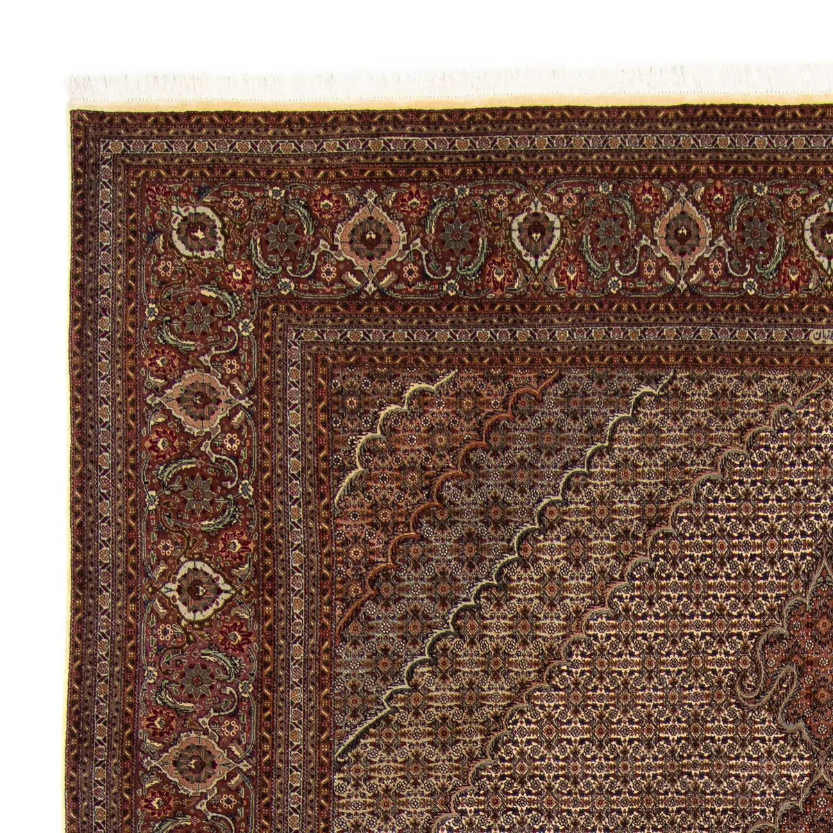 Tapis persan - Tabriz - 353 x 245 cm - marron