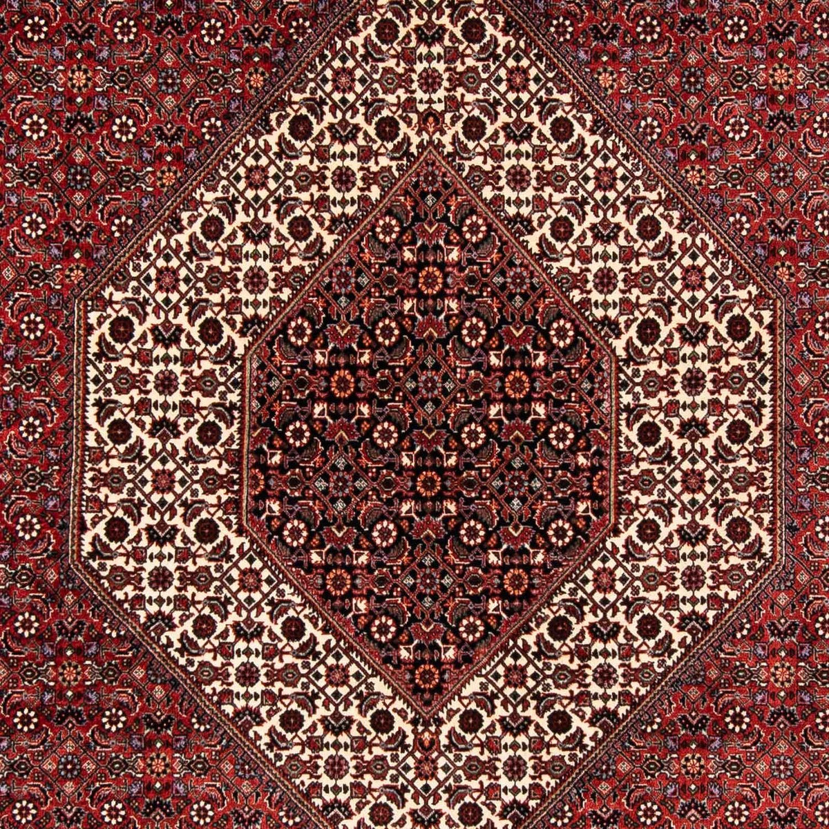 Tapis persan - Bidjar - 254 x 174 cm - rouge foncé