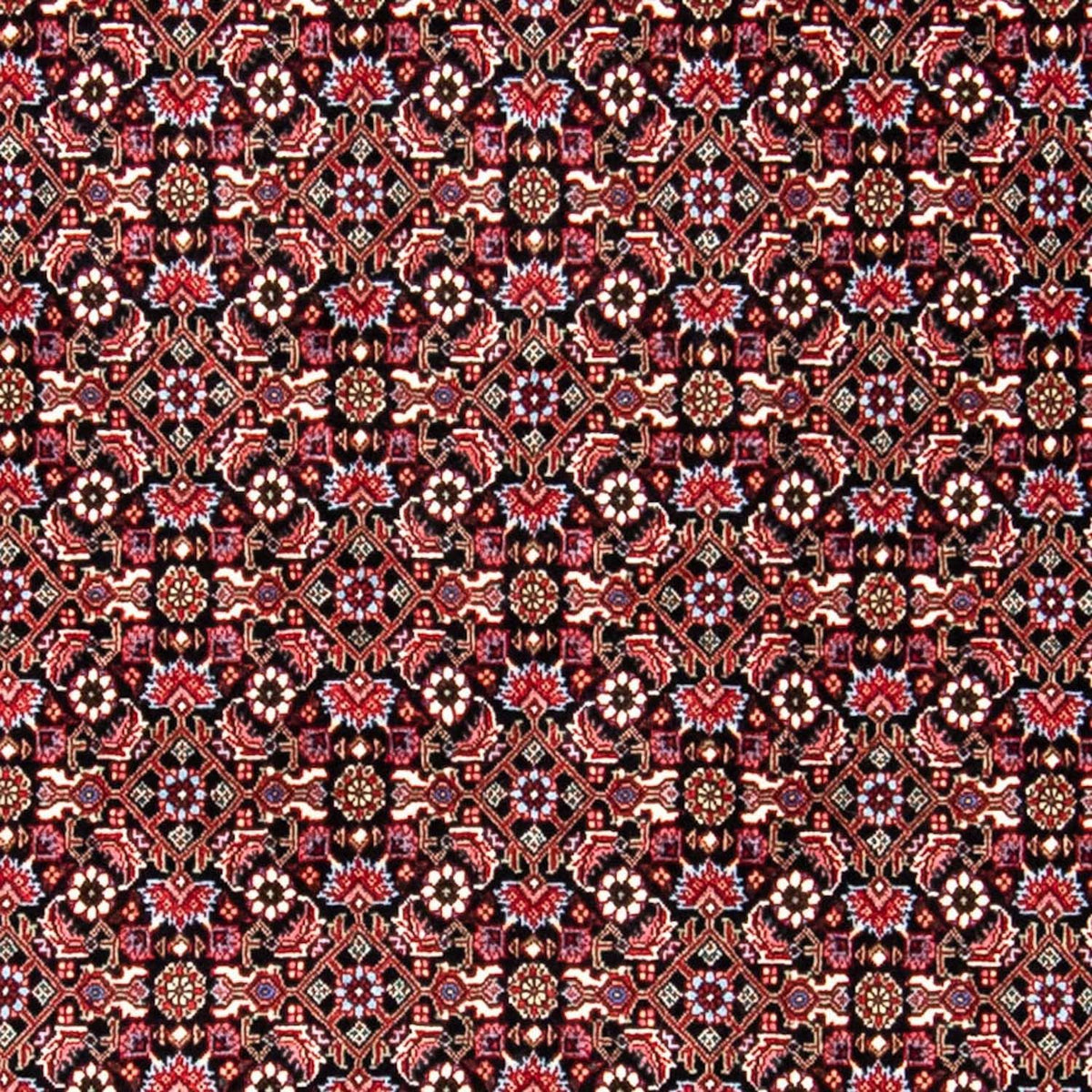 Tapis persan - Bidjar - 250 x 168 cm - rouge