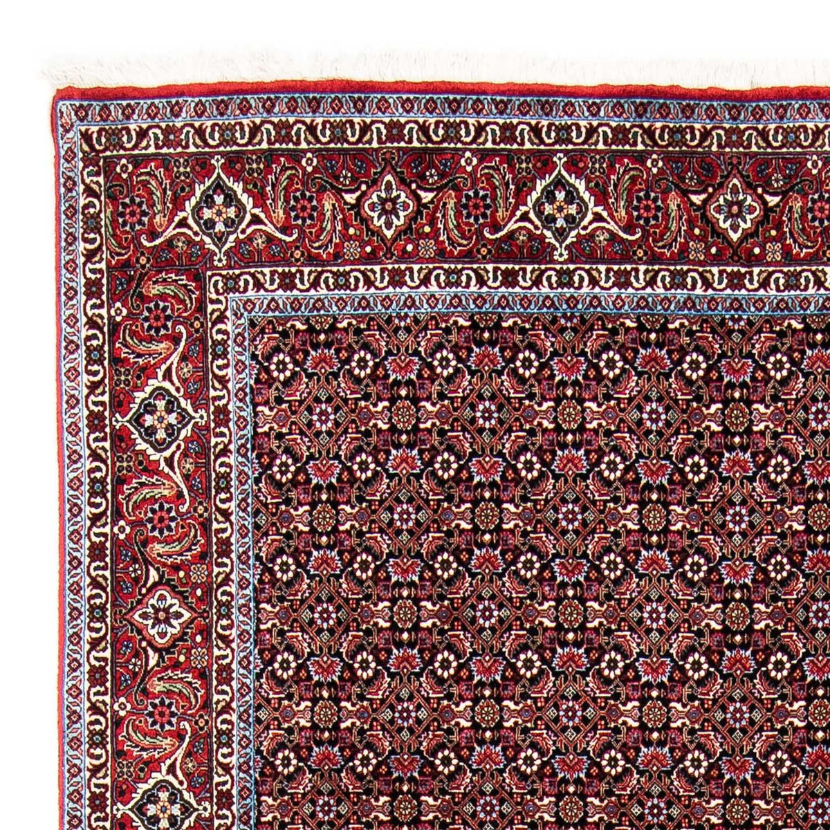 Tapis persan - Bidjar - 250 x 168 cm - rouge