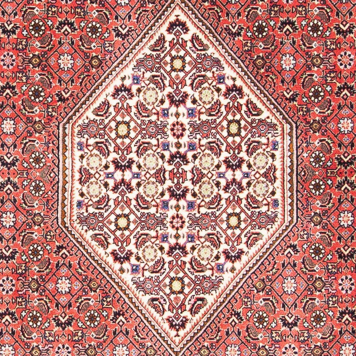 Tapis persan - Bidjar - 179 x 108 cm - rouge clair