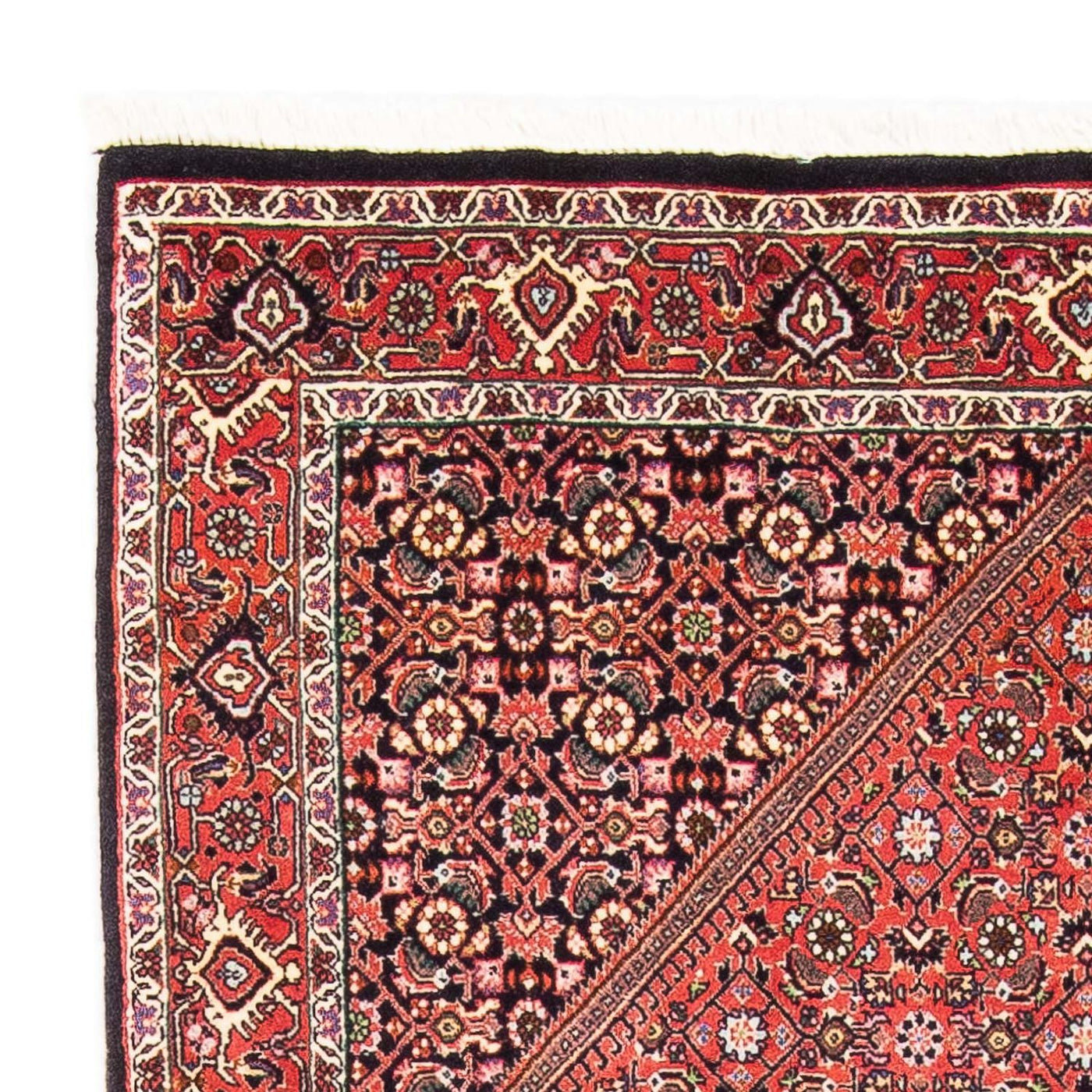 Tapis de Bidjar Tapis 179x108cm - Tapis persan