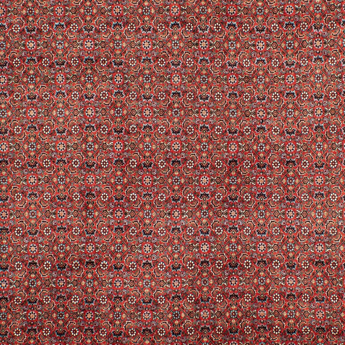 Tapis persan - Bidjar - 307 x 208 cm - rouge foncé