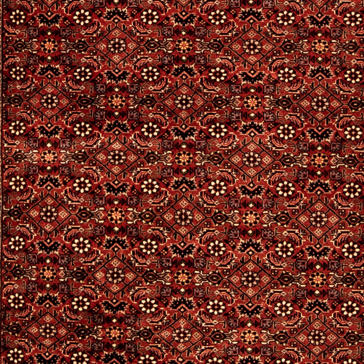 Tapis de couloir Tapis persan - Bidjar - 293 x 84 cm - rouge foncé