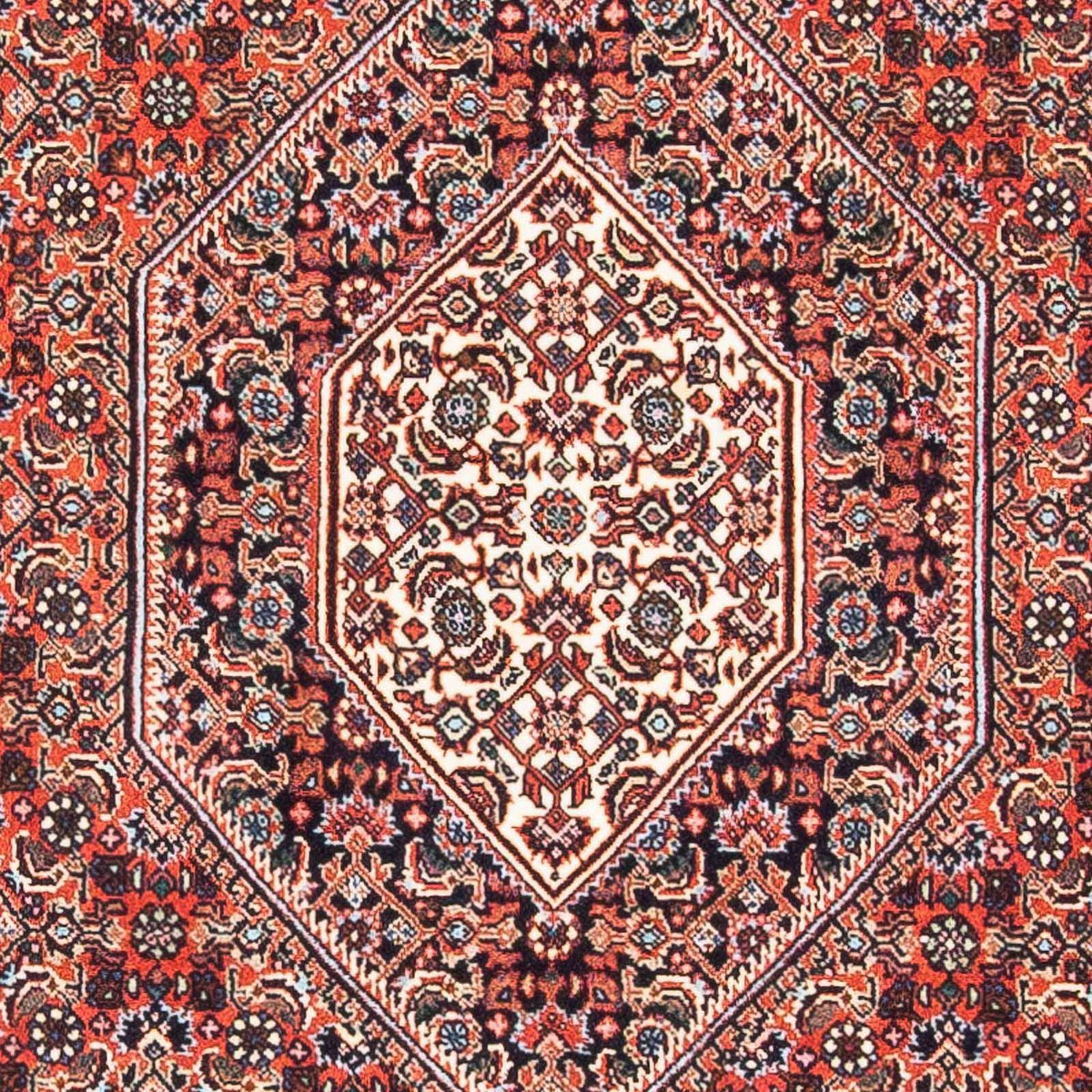 Tapis persan - Bidjar - 145 x 91 cm - rouge clair