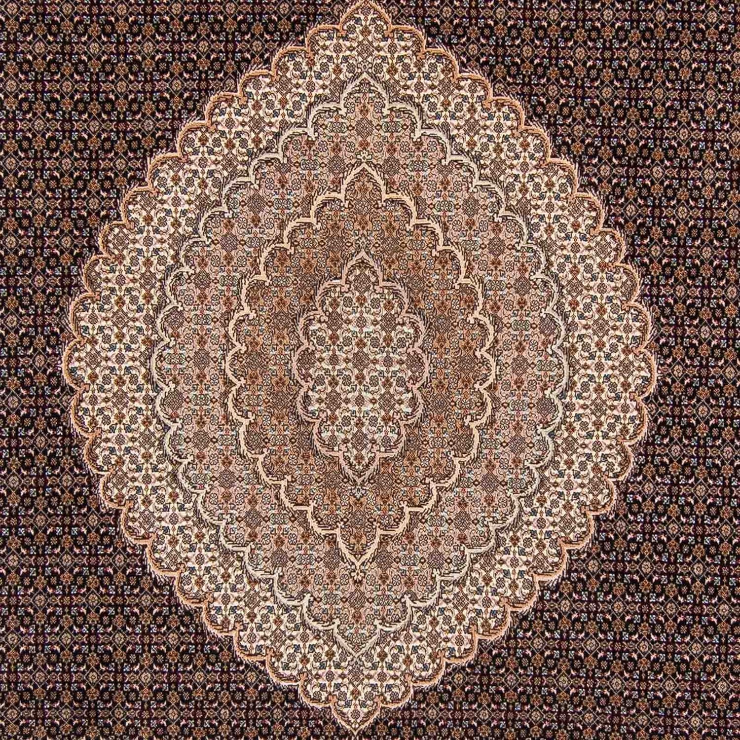 Tapis persan - Tabriz - 354 x 253 cm - marron clair