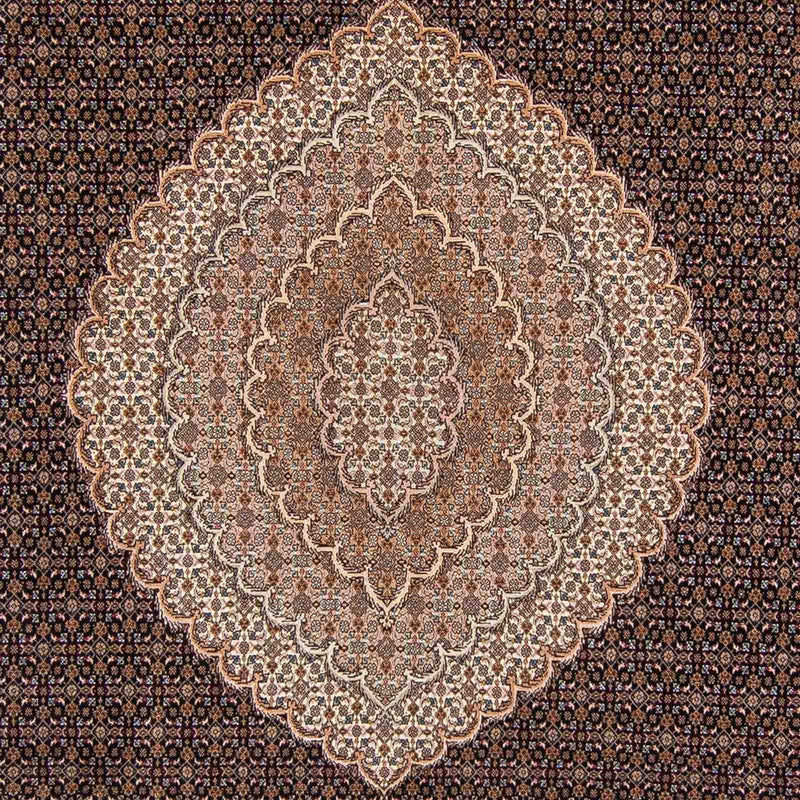 Tapis persan - Tabriz - 354 x 253 cm - marron clair