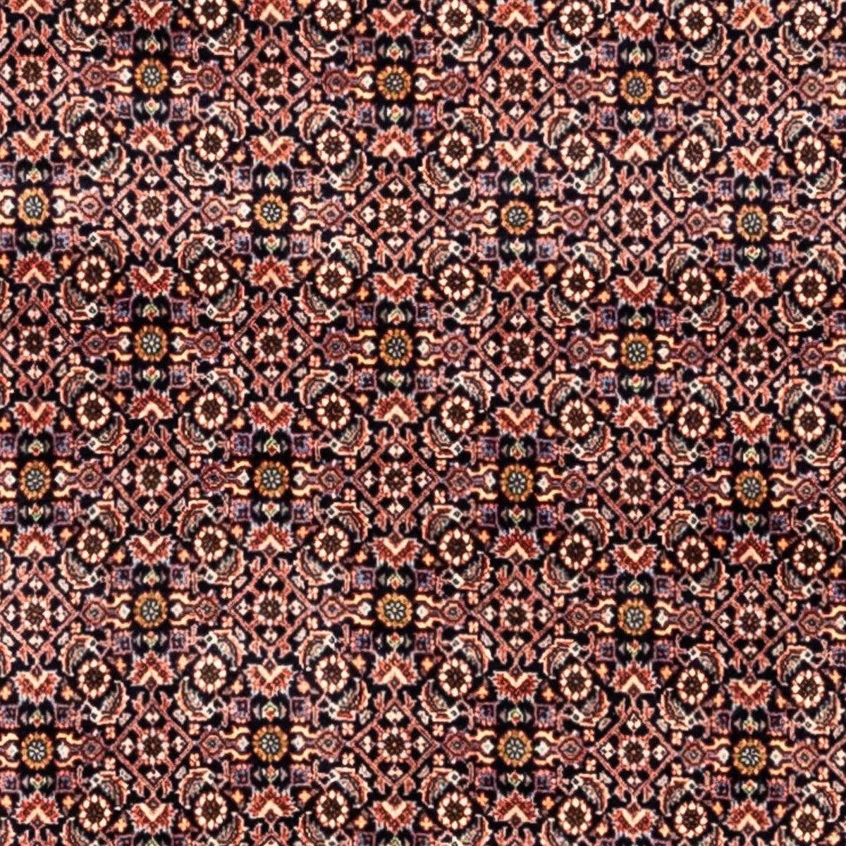 Tapis persan - Bidjar - 341 x 259 cm - rouille