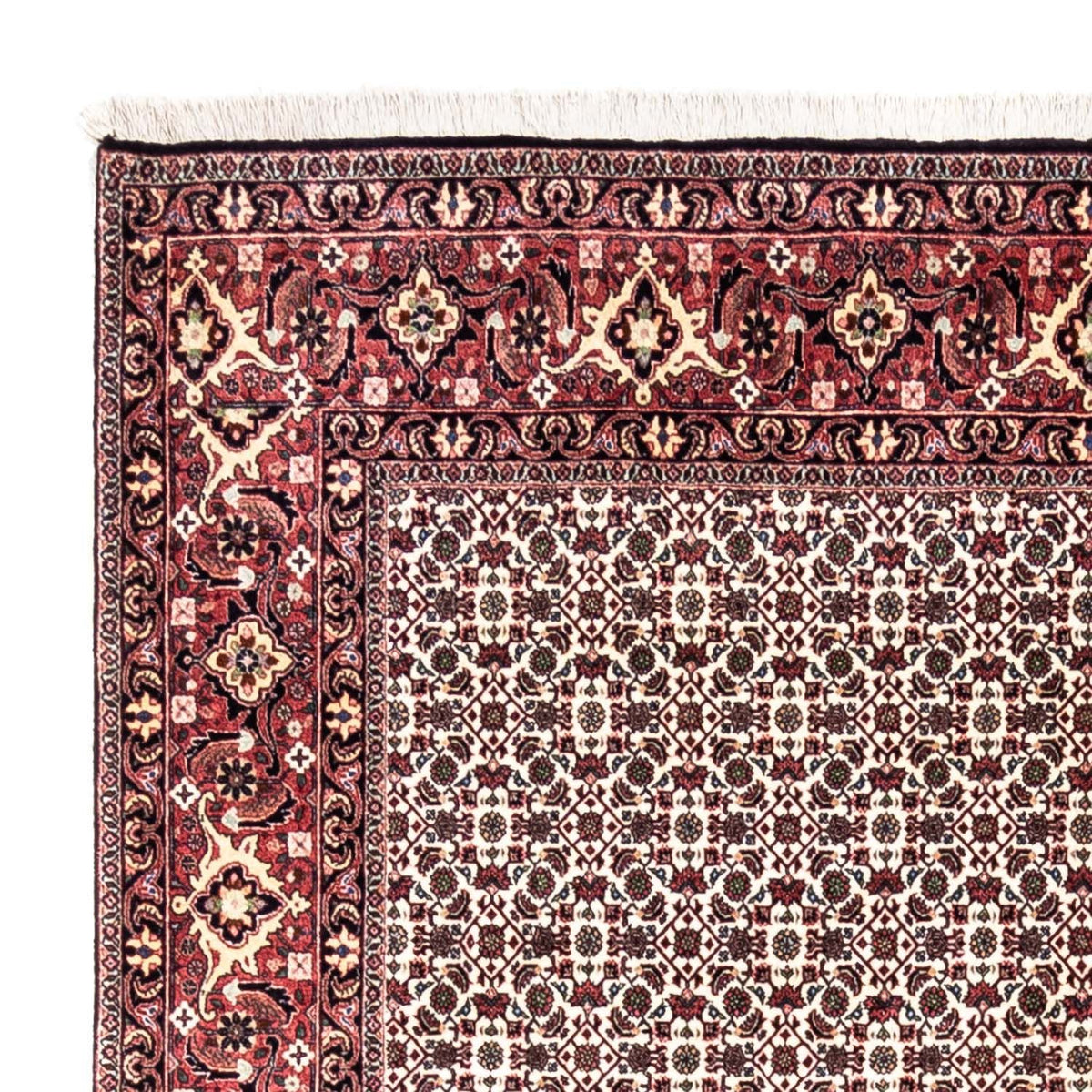 Tapis persan - Bidjar - 296 x 204 cm - beige