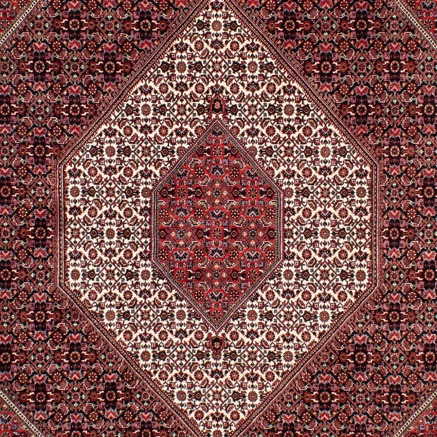 Tapis persan - Bidjar - 308 x 202 cm - rouge clair