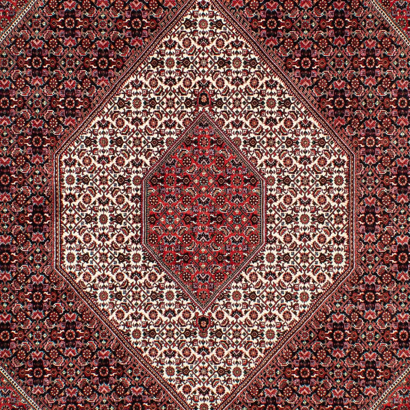 Tapis persan - Bidjar - 308 x 202 cm - rouge clair