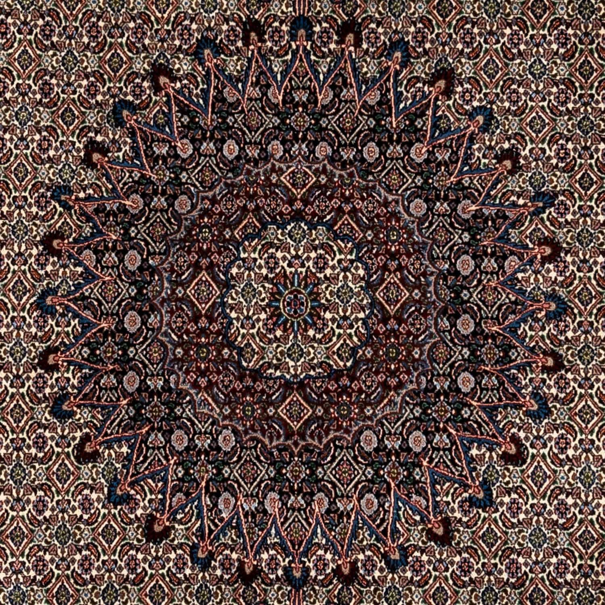 Tapis persan - Classique - 348 x 244 cm - beige