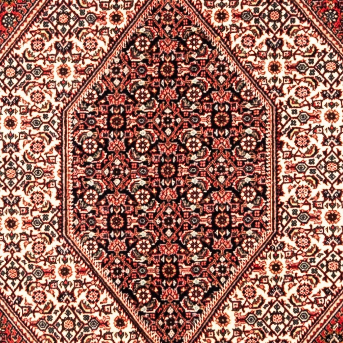 Tapis persan - Bidjar - 285 x 195 cm - rouge
