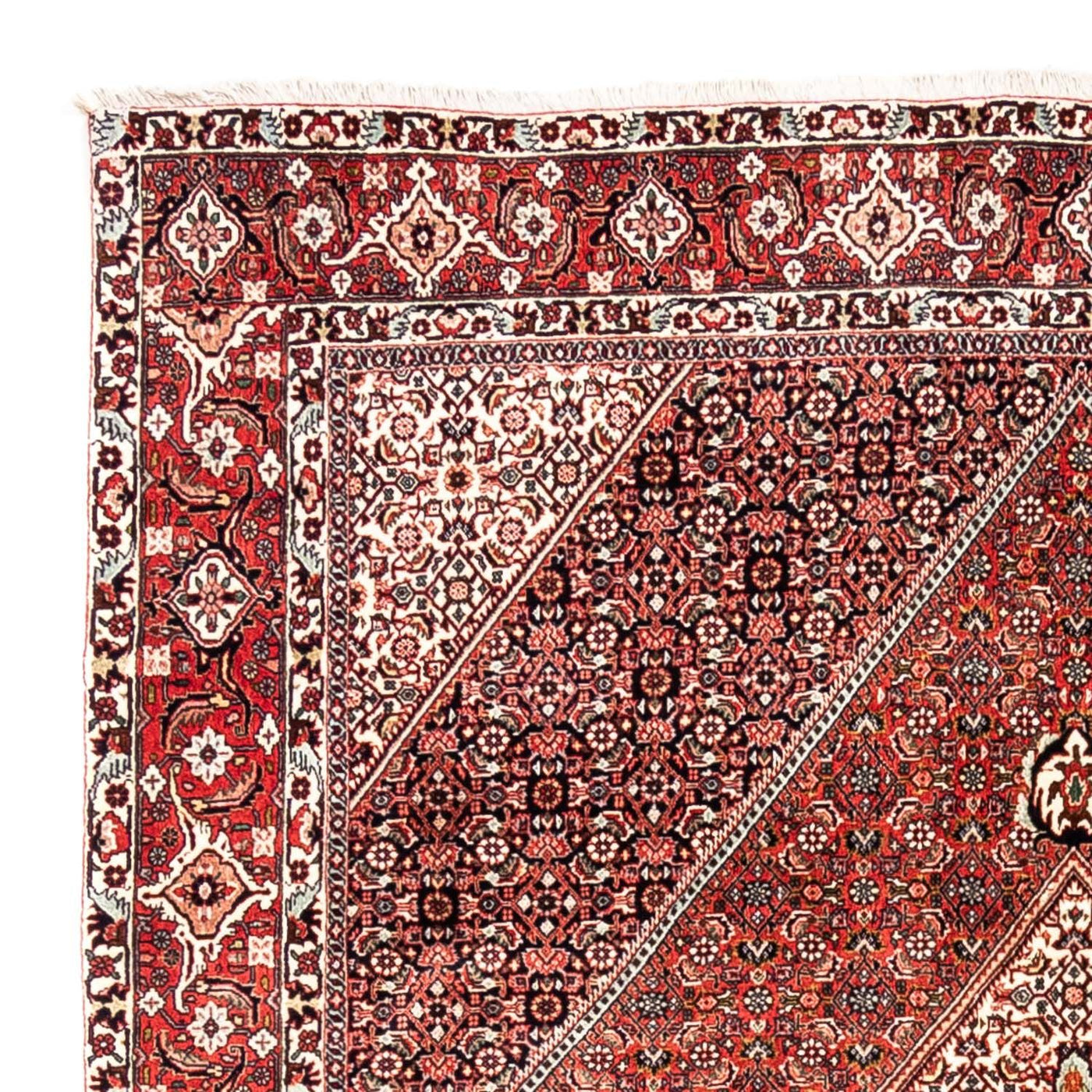 Bidjar - Takab Tapis 285x195cm - Tapis persan