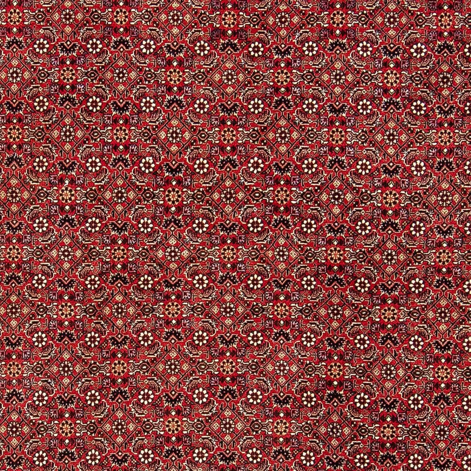 Tapis persan - Bidjar - 248 x 174 cm - rouge