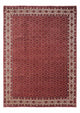 Bidjar - Takab Tapis 252x340cm - Tapis persan