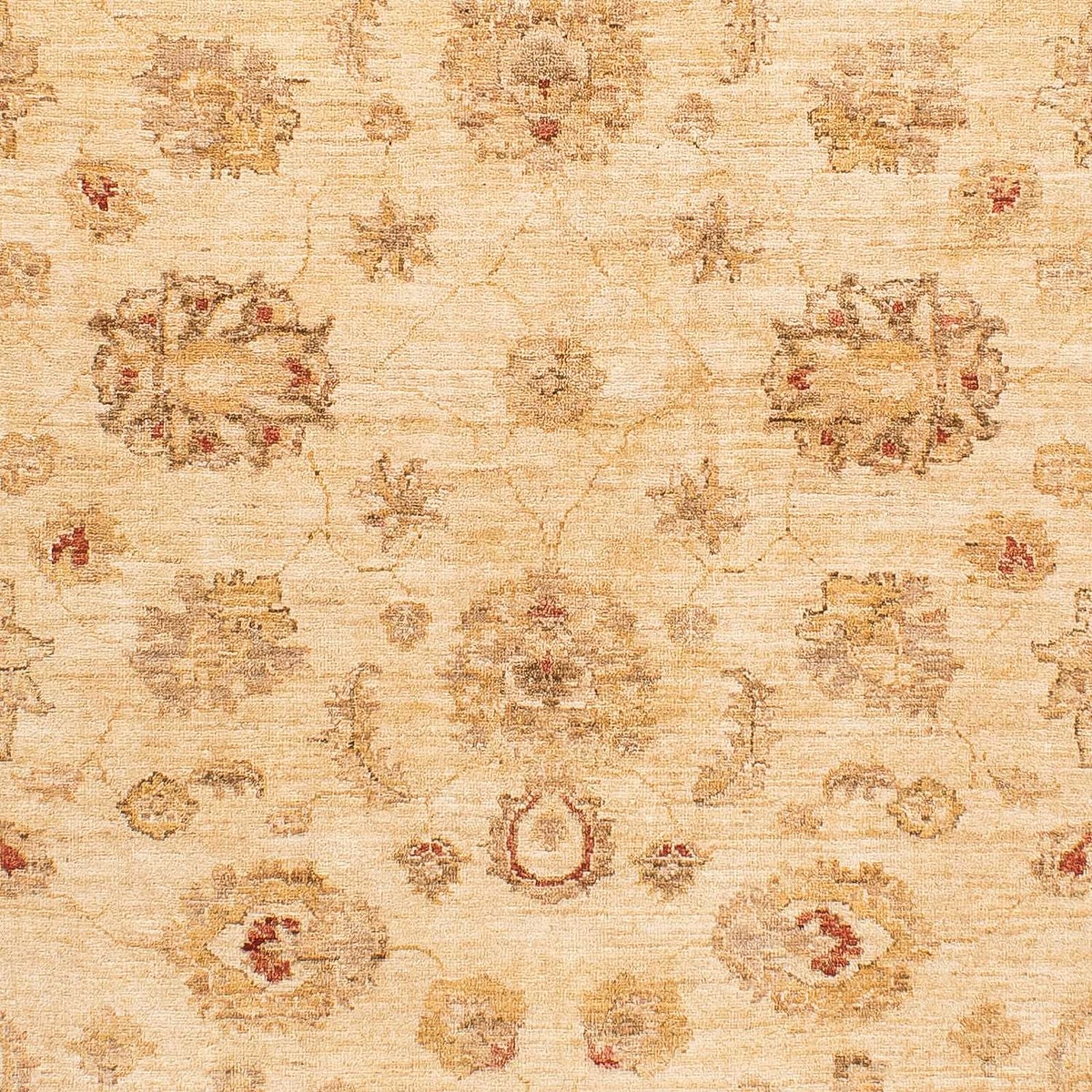 Tapis Ziegler - 229 x 168 cm - marron clair