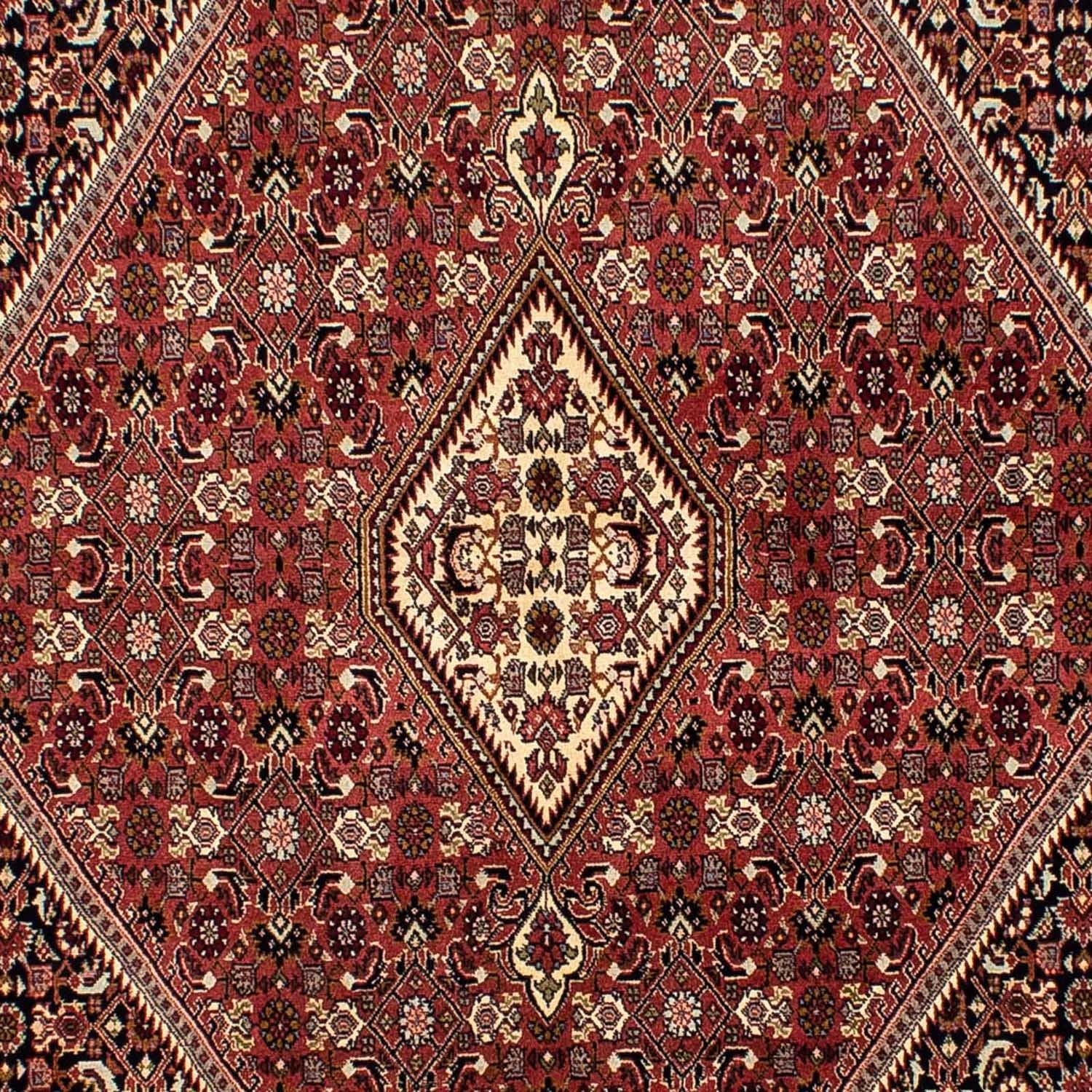 Tapis persan - Bidjar - 254 x 176 cm - marron