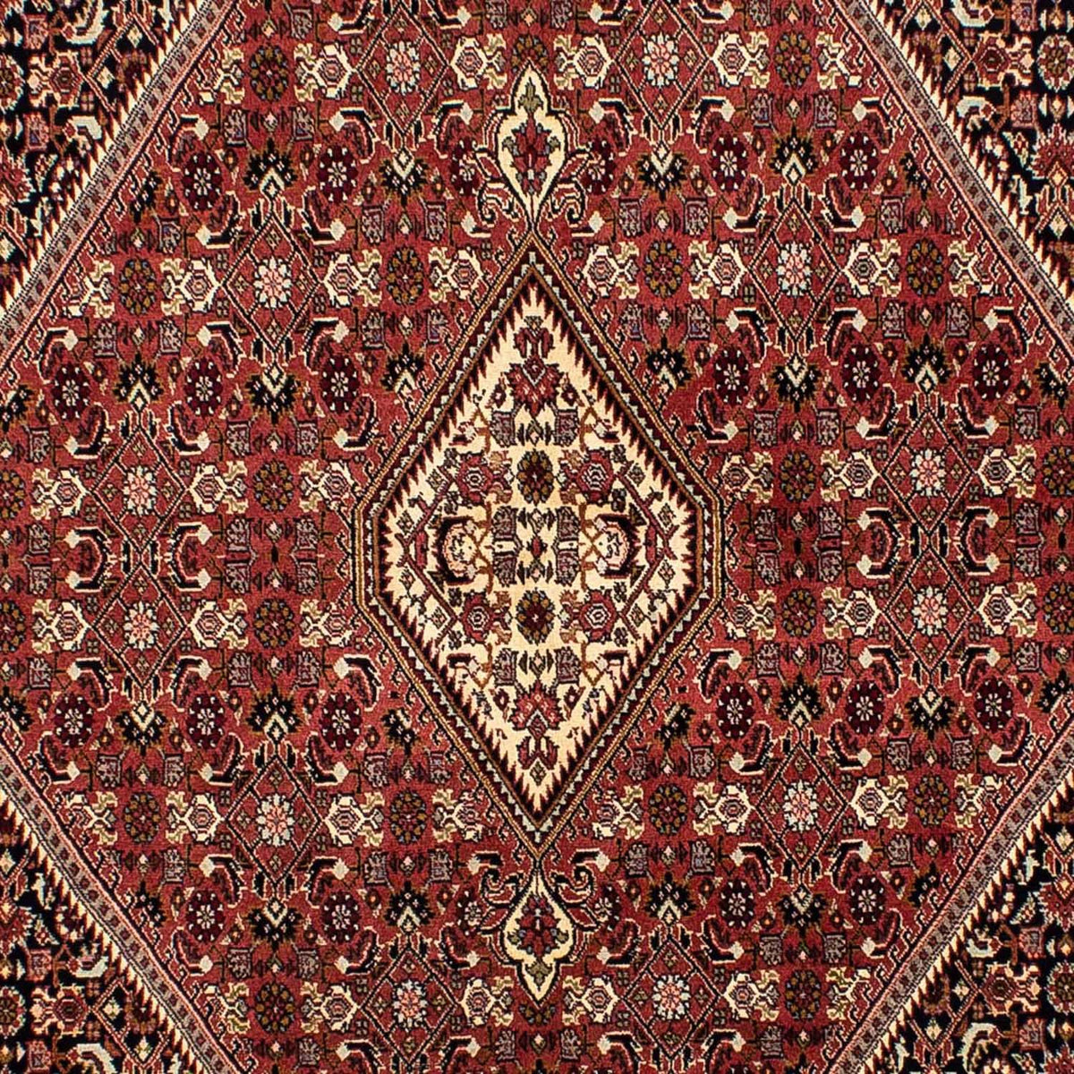 Tapis persan - Bidjar - 254 x 176 cm - marron