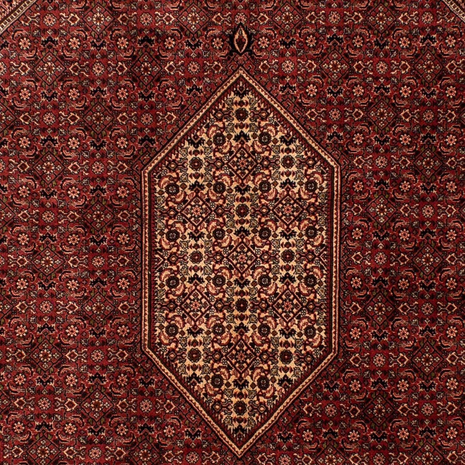 Tapis persan - Bidjar - 293 x 200 cm - marron