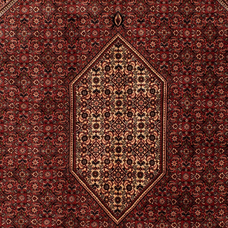 Tapis persan - Bidjar - 293 x 200 cm - marron