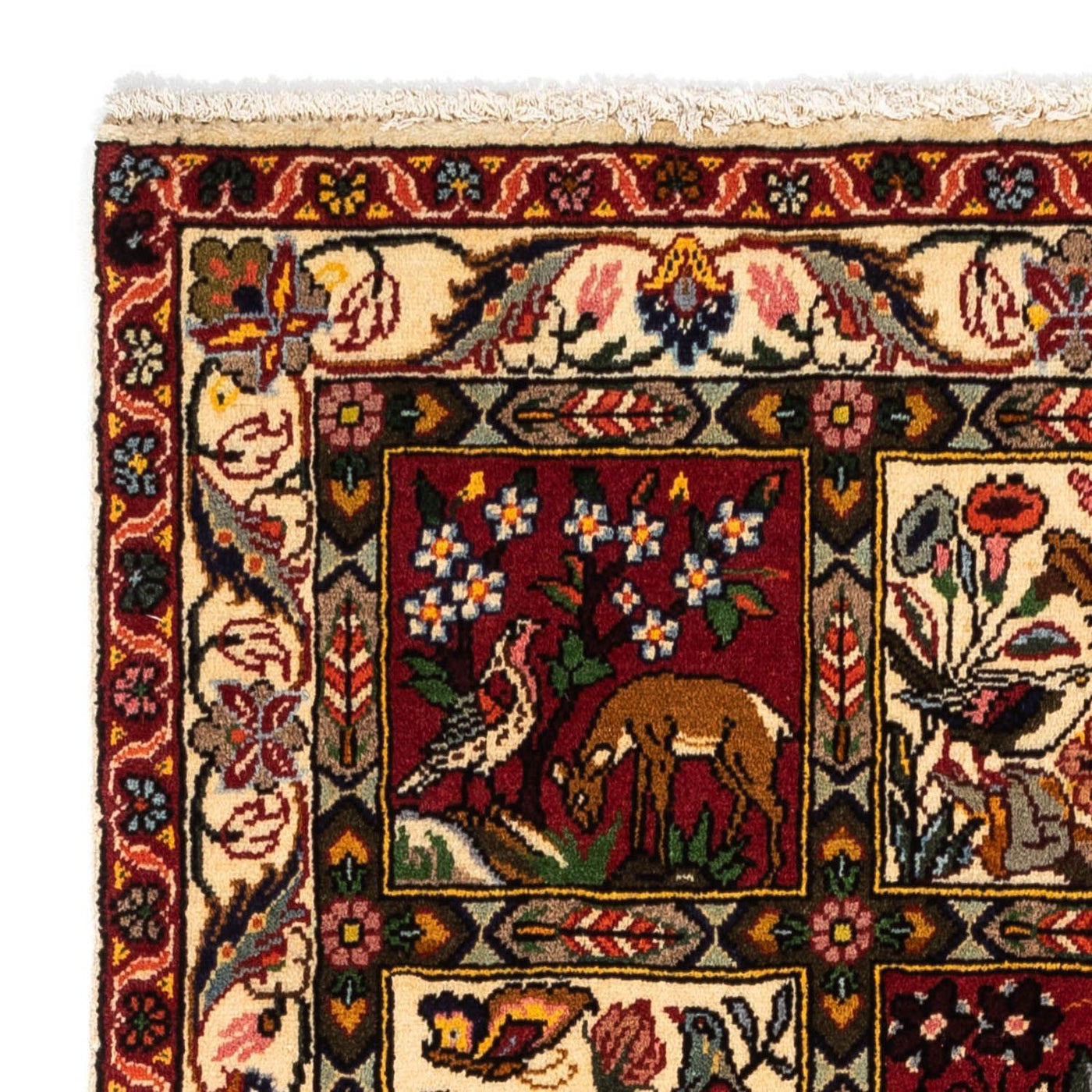 Tapis Bakhtiari Tapis 150x100cm - Tapis persan