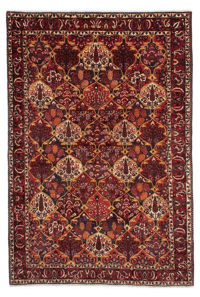 Tapis Bakhtiari Tapis 211x305cm - Tapis persan
