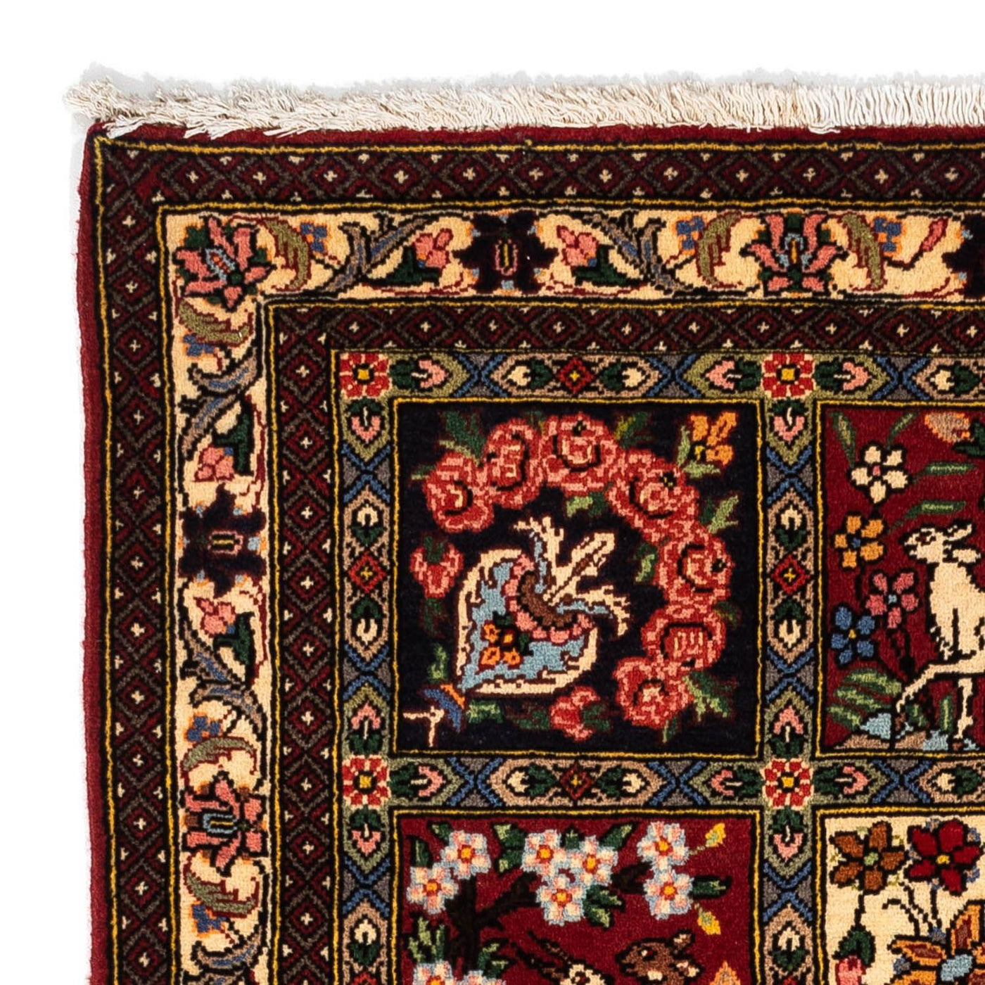Tapis Bakhtiari Tapis 160x108cm - Tapis persan