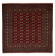 Tapis de Boukhara Tapis 205x205cm - Tapis oriental