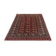 Tapis afghan - Boukhara - 186 x 121 cm - rouge