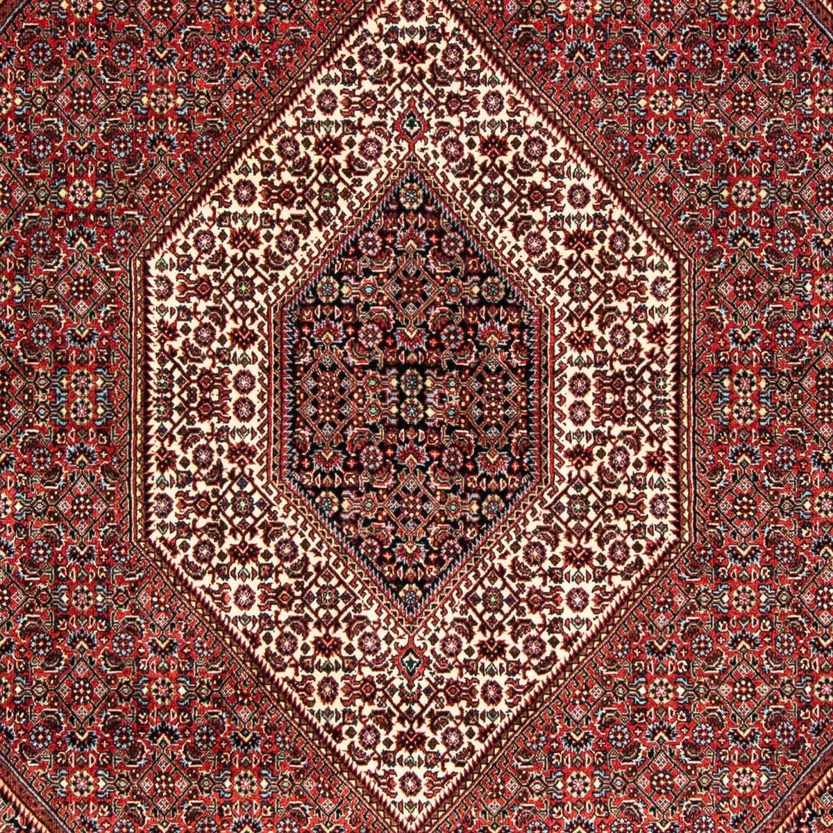 Tapis persan - Bidjar - 239 x 166 cm - multicolore