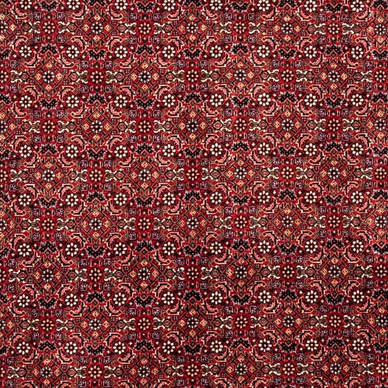 Tapis persan - Bidjar - 350 x 252 cm - rouge