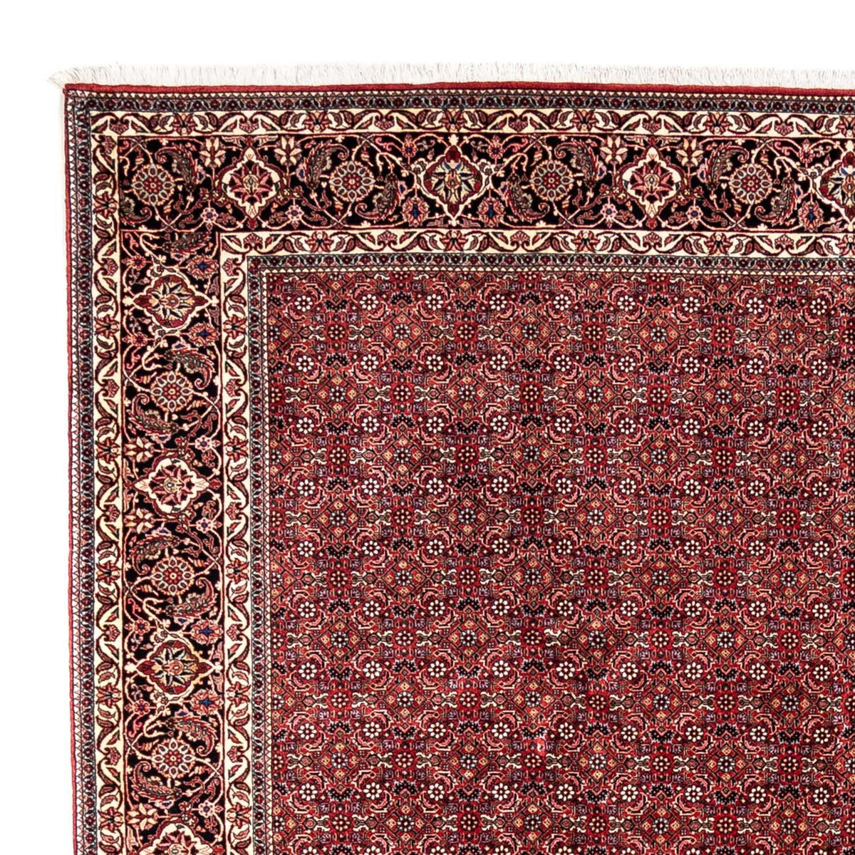 Tapis persan - Bidjar - 350 x 252 cm - rouge