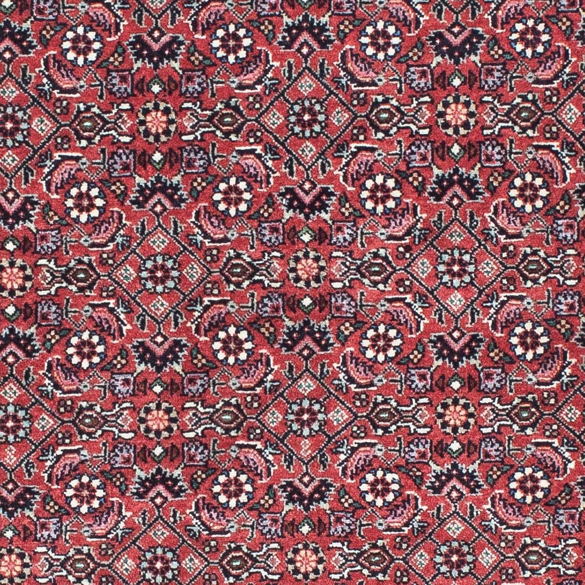Tapis de couloir Tapis persan - Bidjar - 193 x 76 cm - rouge