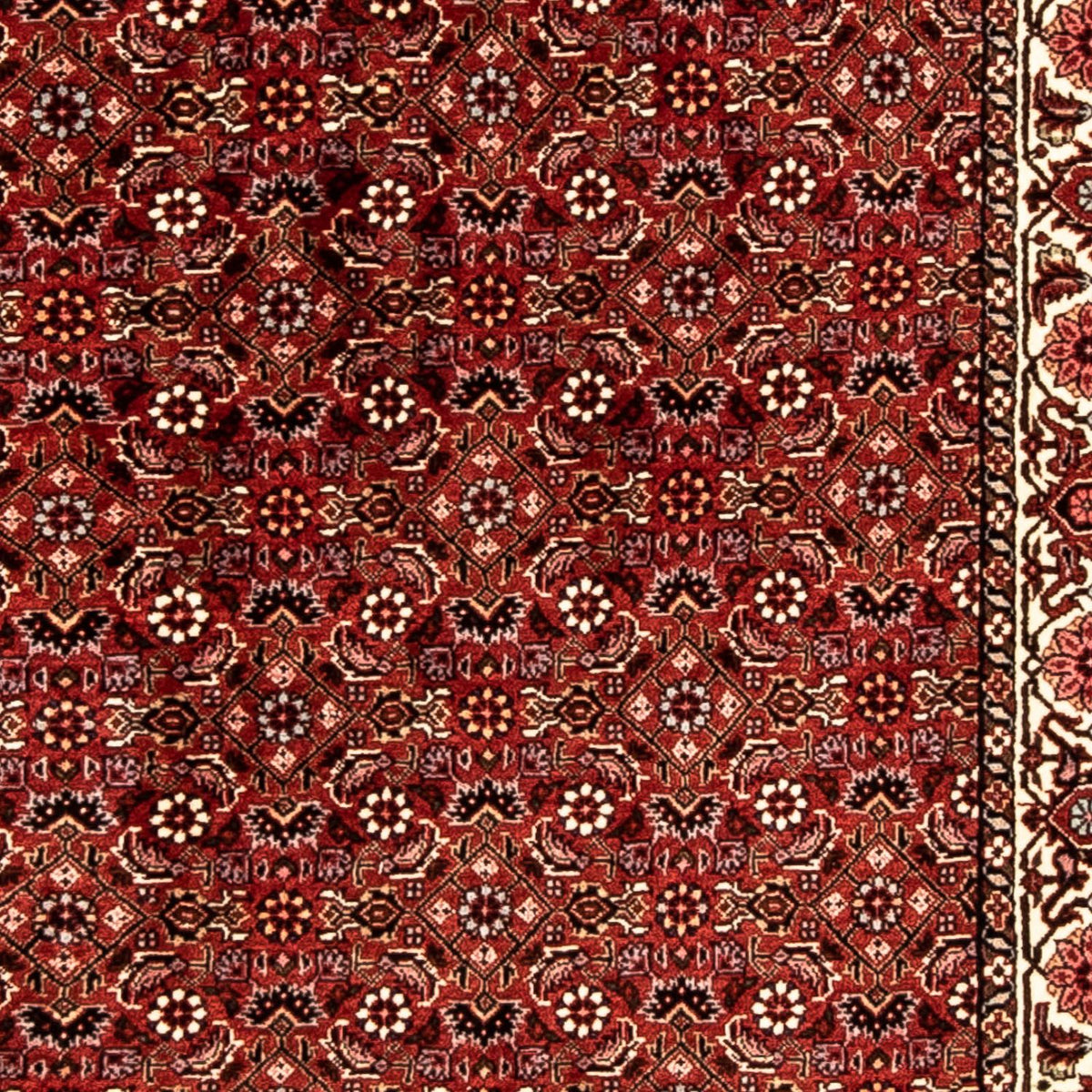 Tapis de couloir Tapis persan - Bidjar - 296 x 82 cm - rouge foncé