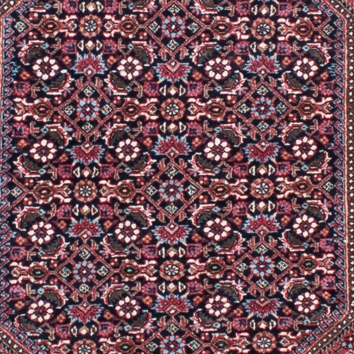 Tapis de couloir Tapis persan - Bidjar - 279 x 73 cm - rouge clair