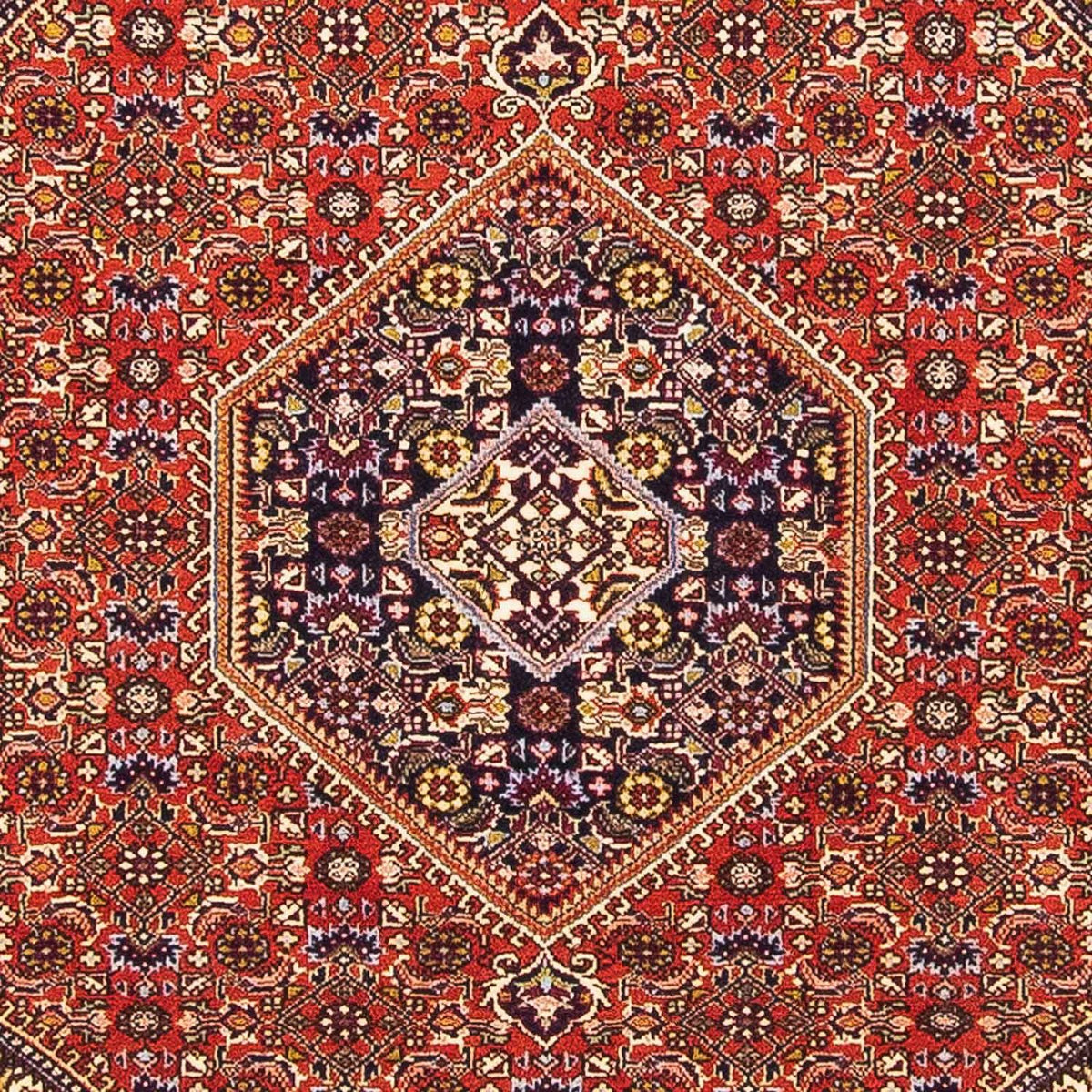 Tapis persan - Bidjar - 154 x 106 cm - rouge
