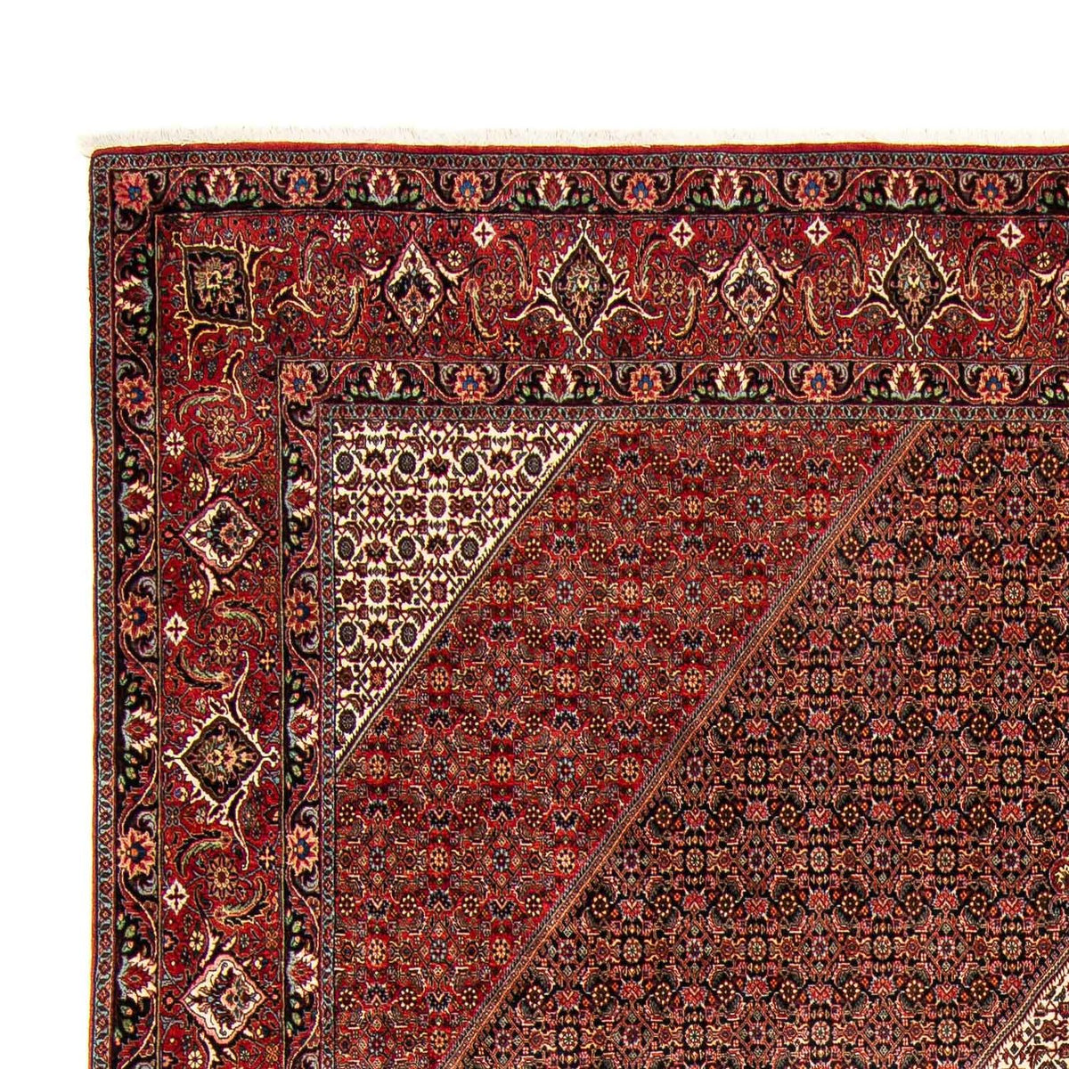 Tapis de Bidjar Tapis 302x394cm - Tapis persan