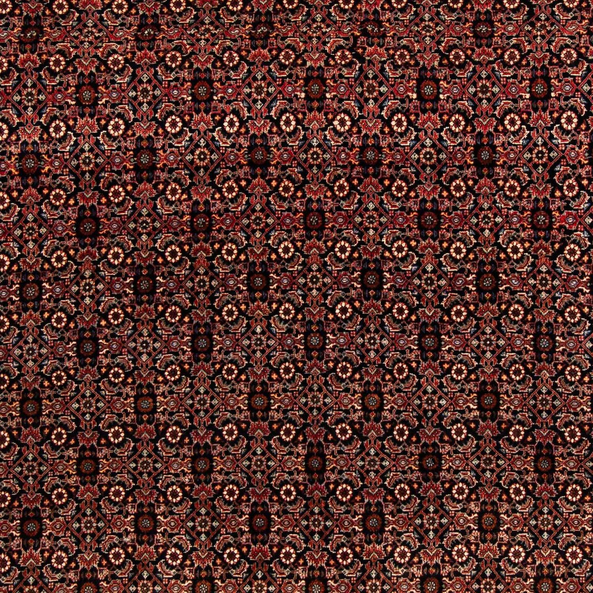 Tapis persan - Bidjar carré  - 208 x 197 cm - marron