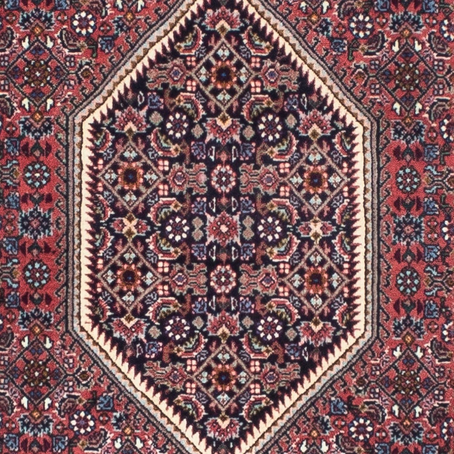 Tapis de couloir Tapis persan - Bidjar - 245 x 74 cm - rouge clair