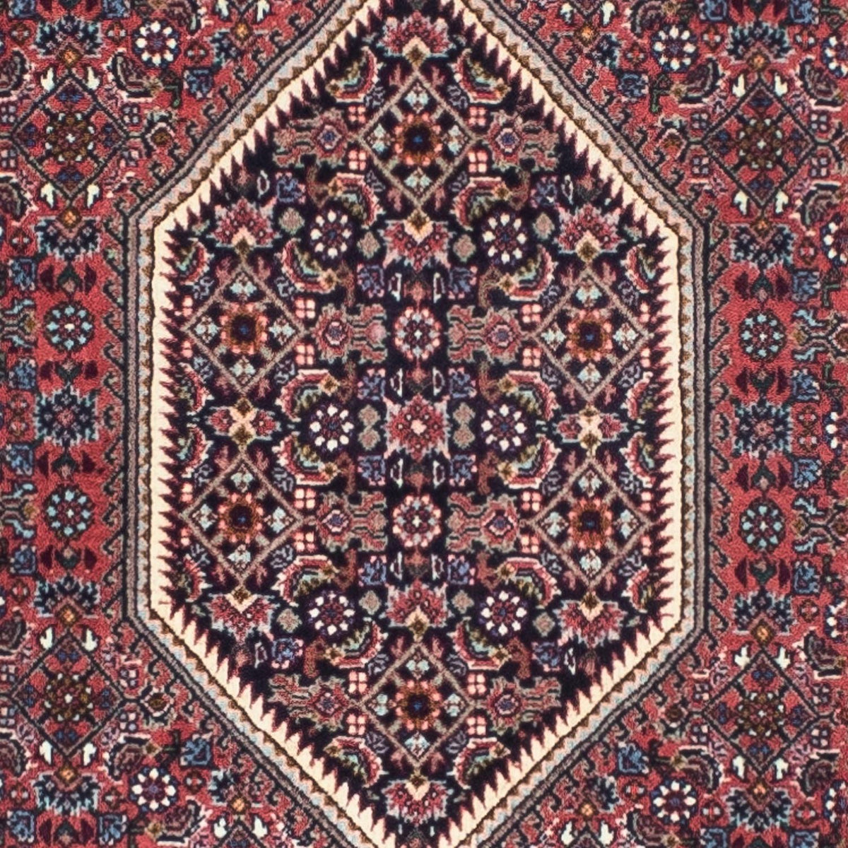 Tapis de couloir Tapis persan - Bidjar - 245 x 74 cm - rouge clair