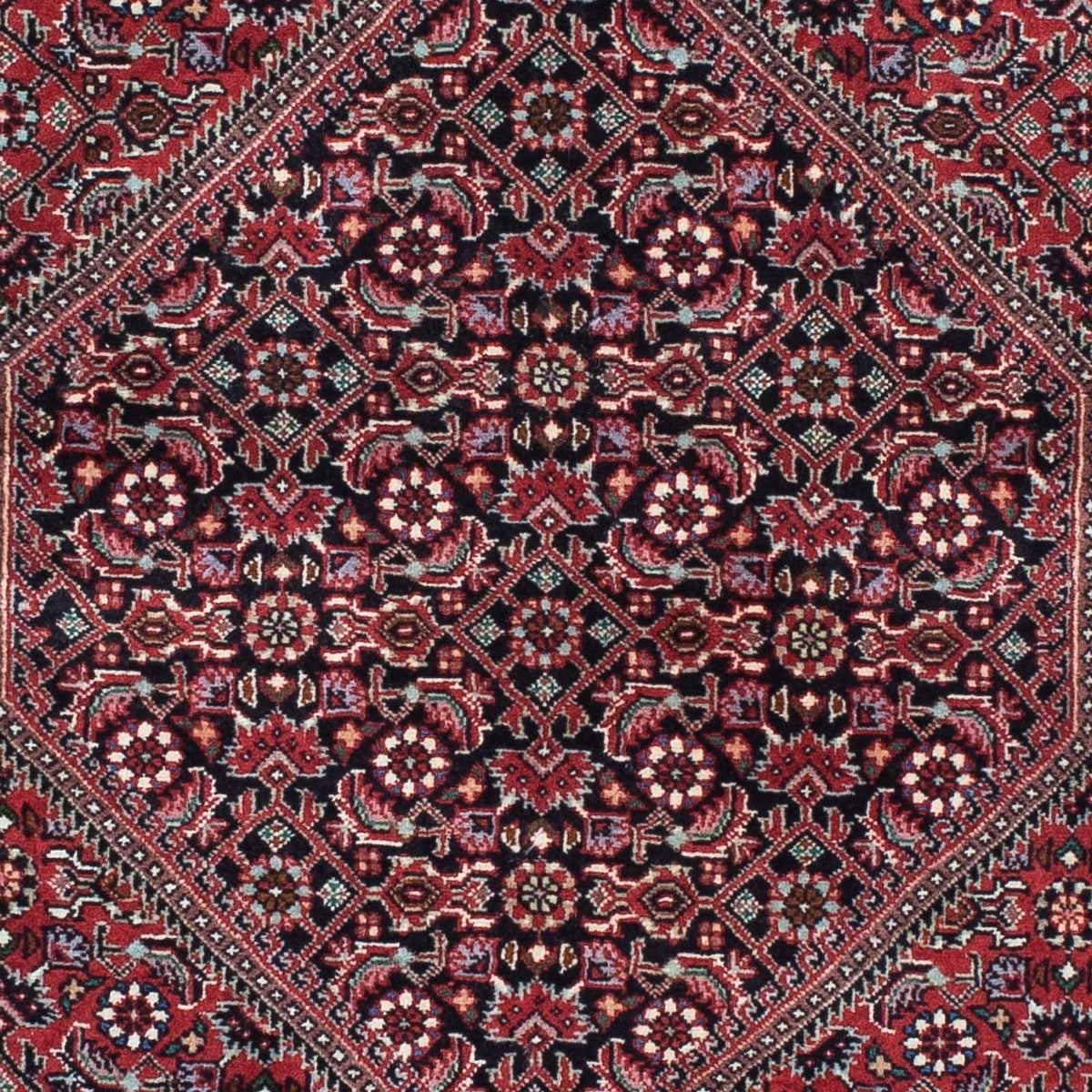 Tapis de couloir Tapis persan - Bidjar - 212 x 74 cm - rouge foncé