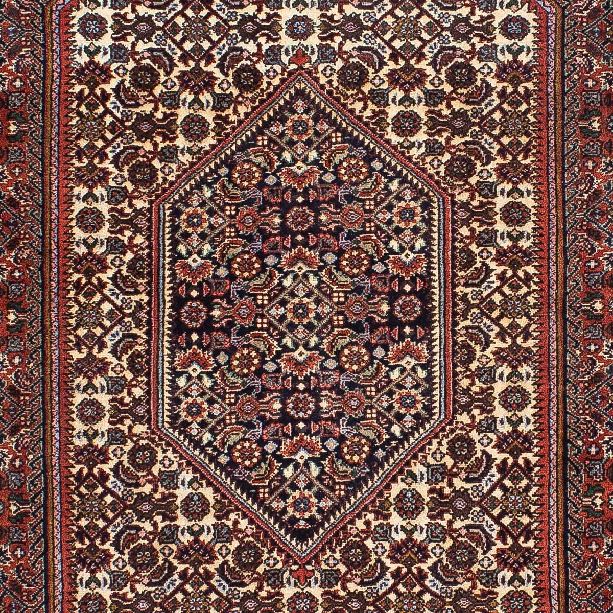 Tapis persan - Bidjar - 213 x 134 cm - multicolore
