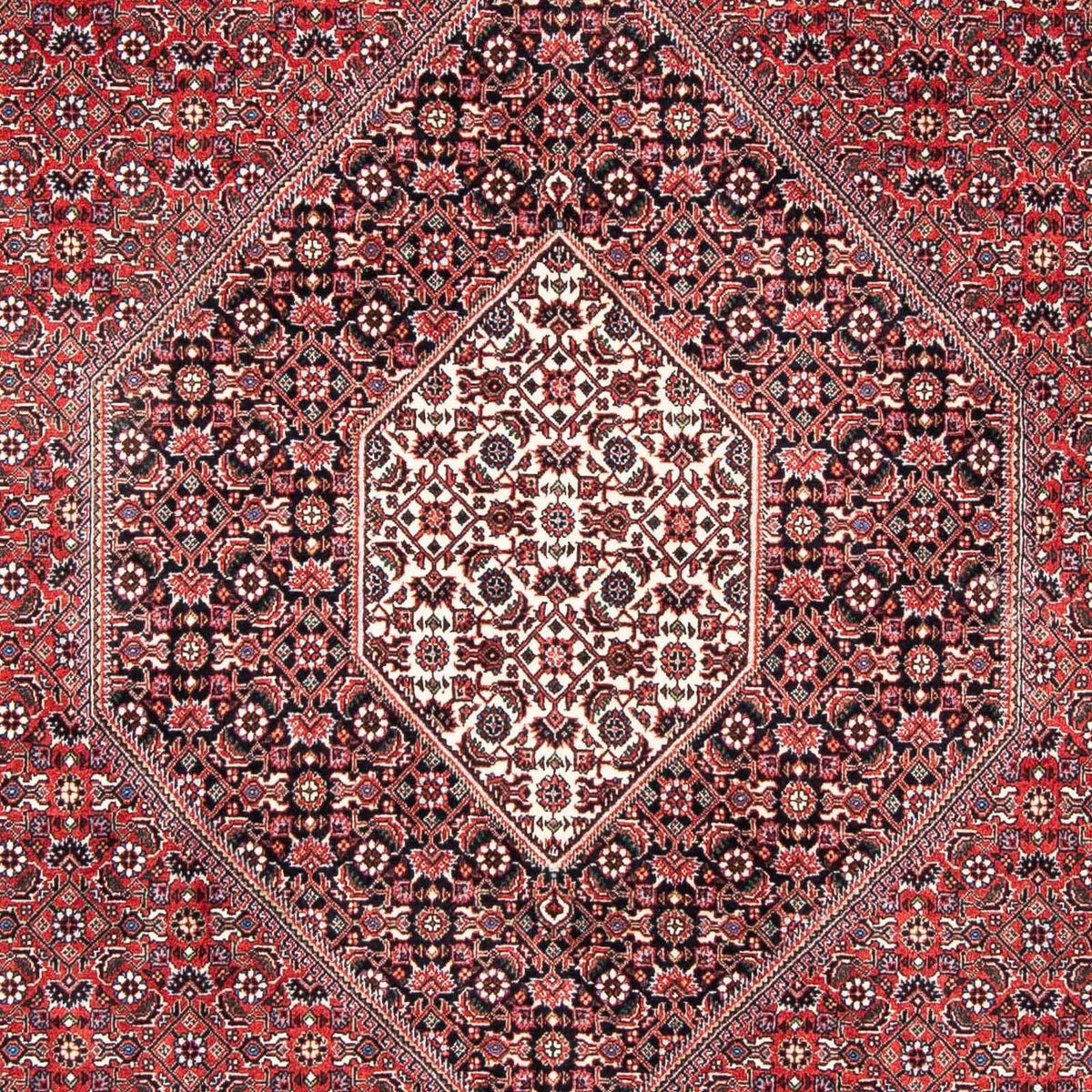 Tapis persan - Bidjar - 253 x 174 cm - rouge clair